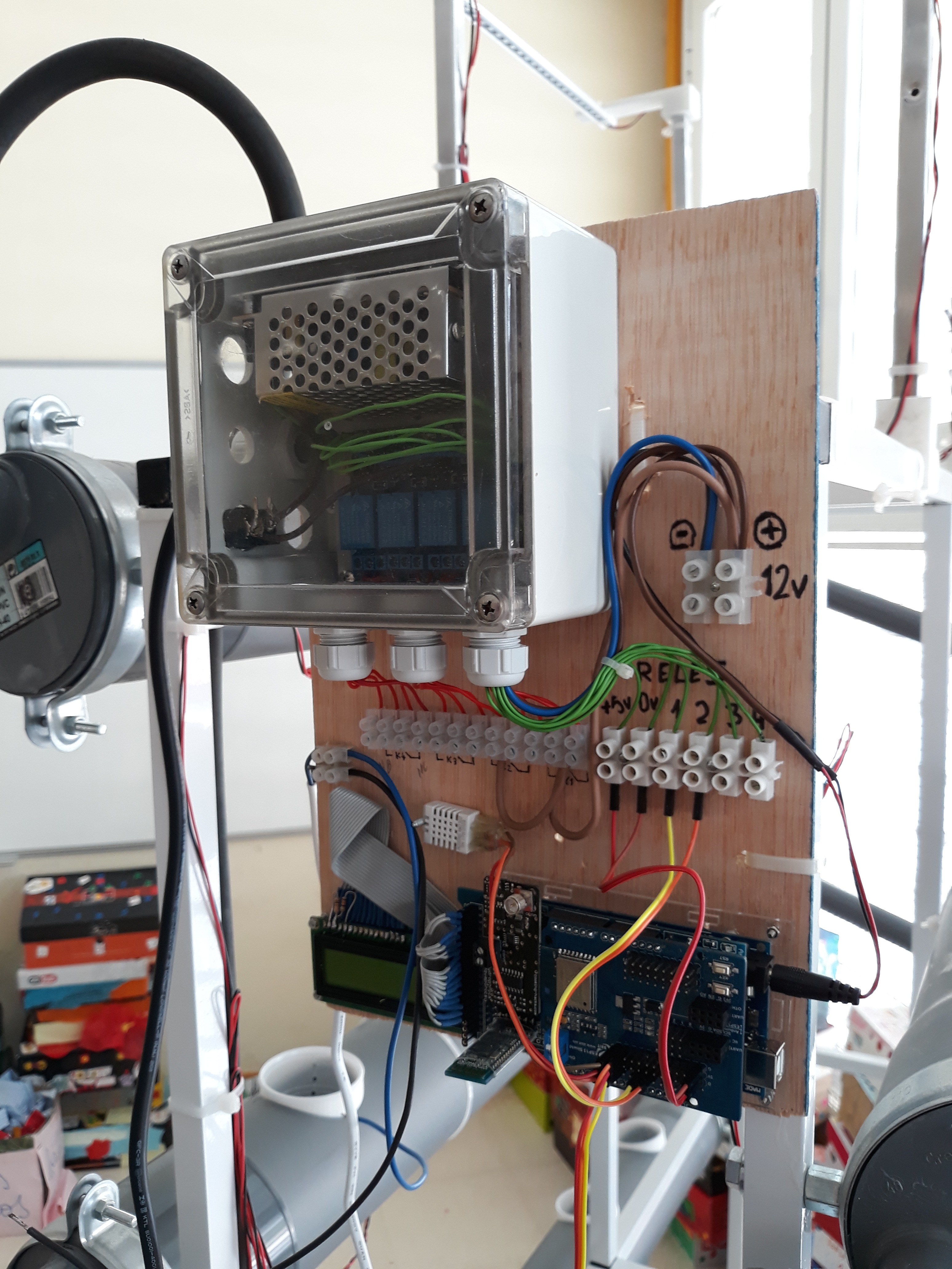 20180518 JdL Hidropónico 097.jpg